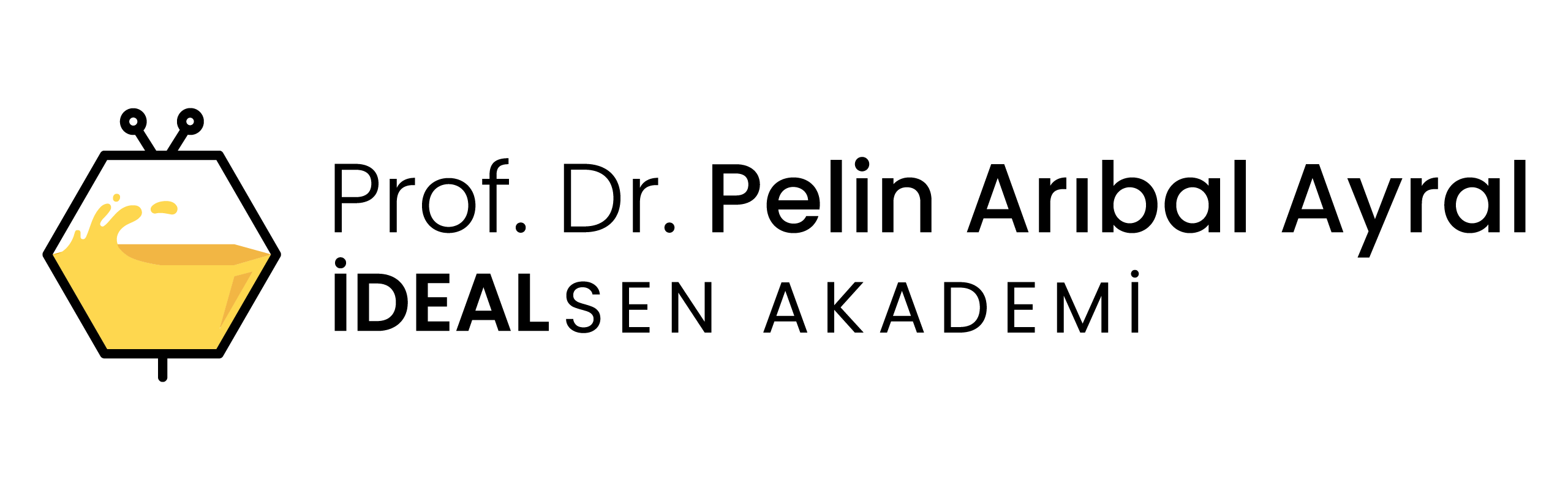 idealsen_akademi_logo_01092025